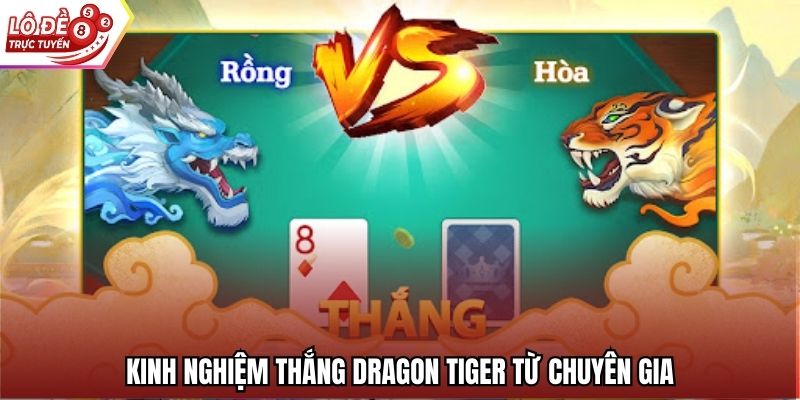 Kinh nghiệm thắng Dragon Tiger từ chuyên gia