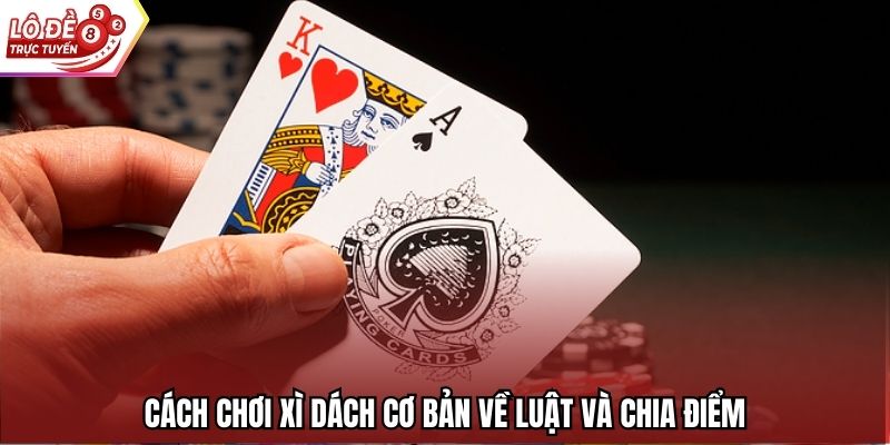 Cách chơi xì dách cơ bản về luật và chia điểm