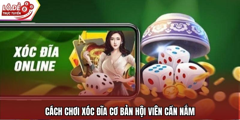 Cách chơi xóc đĩa cơ bản hội viên cần nắm