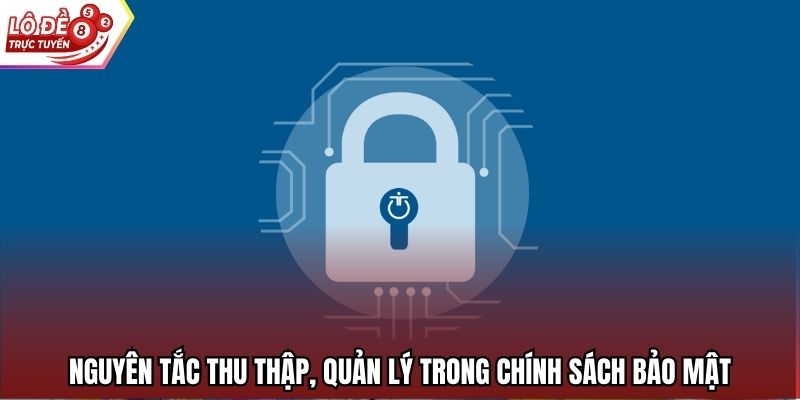 Nguyên tắc thu thập, quản lý trong chính sách bảo mật