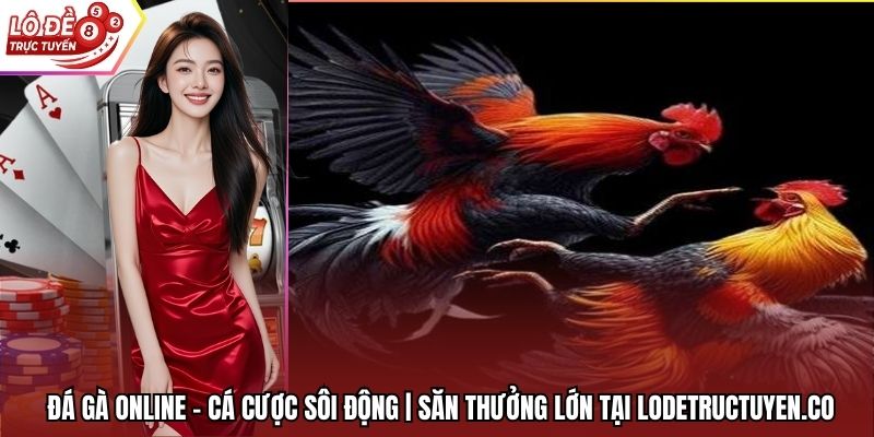 Đá Gà Online - Cá Cược Sôi Động | Săn Thưởng Lớn Tại Lodetructuyen.co
