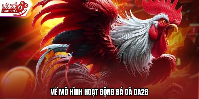 Về mô hình hoạt động đá gà GA28