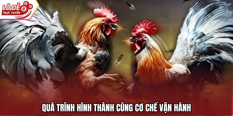 Quá trình hình thành cùng cơ chế vận hành