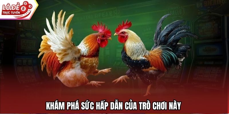 Khám phá sức hấp dẫn của trò chơi này 