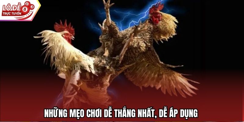 Những mẹo chơi dễ thắng nhất, dễ áp dụng 
