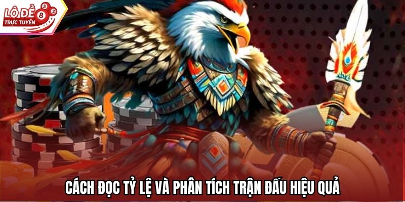 Cách đọc tỷ lệ và phân tích trận đấu hiệu quả