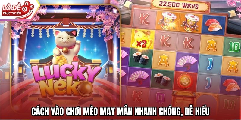  Cách vào chơi Mèo May Mắn nhanh chóng, dễ hiểu