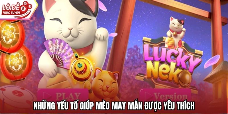 Những yếu tố giúp Mèo May Mắn được yêu thích
