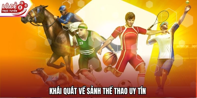Khái quát về sảnh thể thao uy tín 