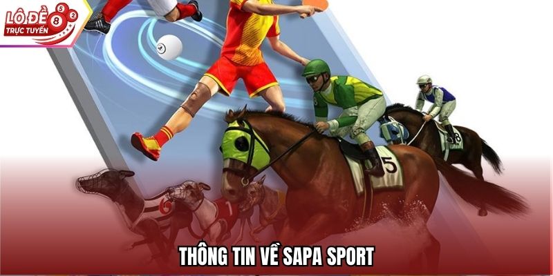 Thông tin về Sapa Sport