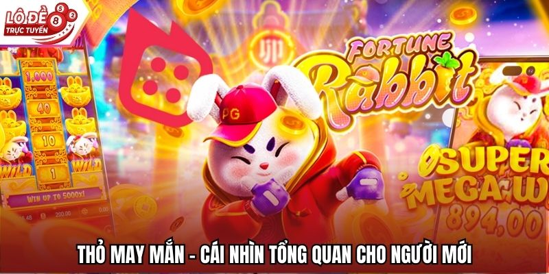 Thỏ May Mắn – Cái nhìn tổng quan cho người mới